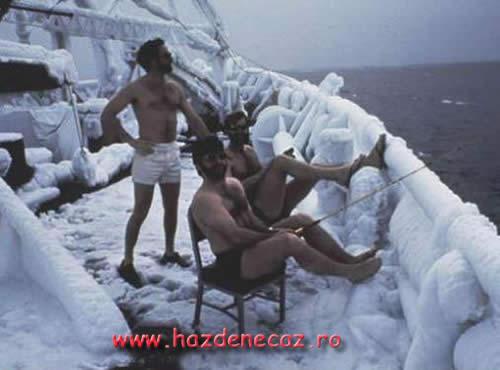 Fish - 101vacanta.jpg